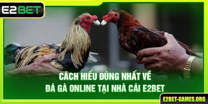 Đá Gà Online Trên E2BET Với Những Trận Đấu Đầy Kịch Tính 2 Cách hiểu đúng nhất về đá gà online