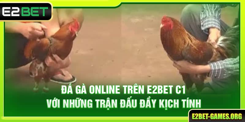 Đá Gà Online Trên E2BET Với Những Trận Đấu Đầy Kịch Tính 1 Đá Gà Online Trên E2BET Với Những Trận Đấu Đầy Kịch Tính