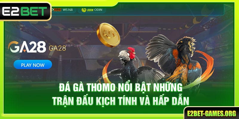 Hướng Dẫn Trải Nghiệm Đá Gà Thomo E2BET Toàn Diện Từ A Đến Z 2 Đá gà thomo nổi bật những trận đấu kịch tính và hấp dẫn