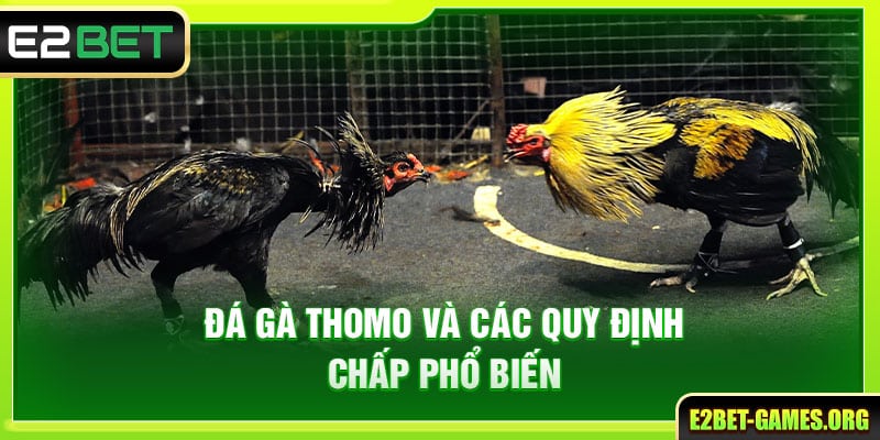 Hướng Dẫn Trải Nghiệm Đá Gà Thomo E2BET Toàn Diện Từ A Đến Z 4 Đá gà thomo và các quy định chấp phổ biến