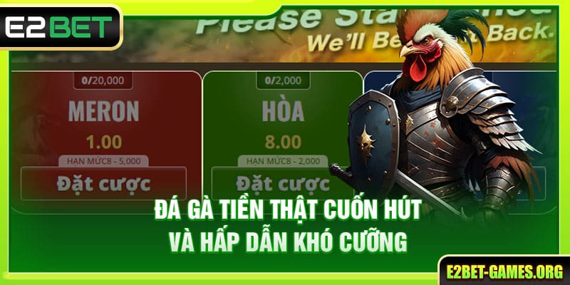 Hình Thức Đá Gà Tiền Thật E2BET Và 5 Bí Kíp Cá Độ Chắc Thắng 2 Đá gà tiền thật cuốn hút và hấp dẫn khó cưỡng