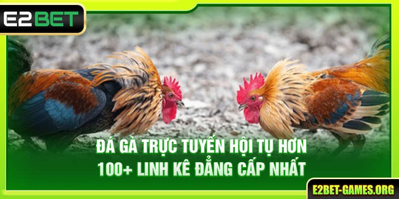 Đá Gà Trực Tuyến E2BET Hội Tụ Hơn 100+ Linh Kê Đẳng Cấp Nhất 1 Đá Gà Trực Tuyến E2BET Hội Tụ Hơn 100+ Linh Kê Đẳng Cấp Nhất