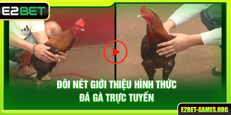 Đá Gà Trực Tuyến E2BET Hội Tụ Hơn 100+ Linh Kê Đẳng Cấp Nhất 2 Đôi nét giới thiệu hình thức đá gà trực tuyến
