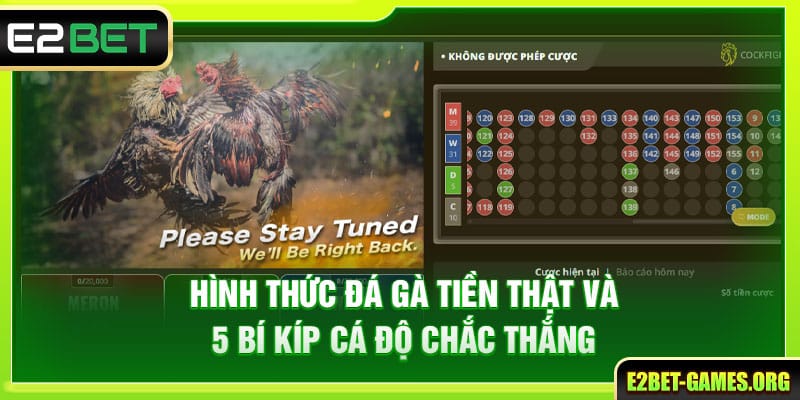 Hình Thức Đá Gà Tiền Thật E2BET Và 5 Bí Kíp Cá Độ Chắc Thắng 1 Hình Thức Đá Gà Tiền Thật E2BET Và 5 Bí Kíp Cá Độ Chắc Thắng