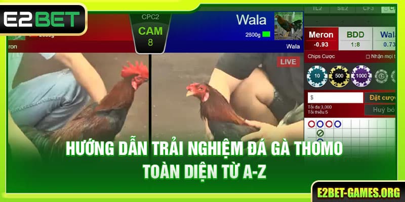 Hướng Dẫn Trải Nghiệm Đá Gà Thomo E2BET Toàn Diện Từ A Đến Z 1 Hướng Dẫn Trải Nghiệm Đá Gà Thomo E2BET Toàn Diện Từ A Đến Z