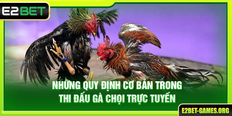 Đá Gà Online Trên E2BET Với Những Trận Đấu Đầy Kịch Tính 3 Những quy định cơ bản trong thi đấu gà chọi trực tuyến