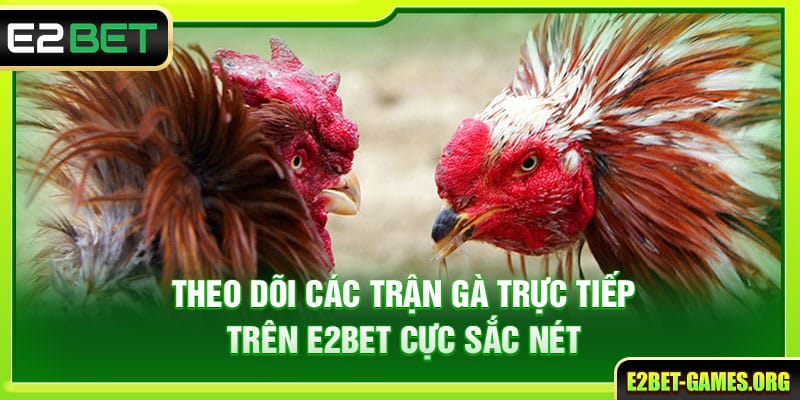 Đá Gà Online Trên E2BET Với Những Trận Đấu Đầy Kịch Tính 4 Theo dõi các trận gà trực tiếp cực sắc nét