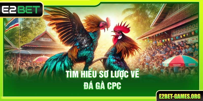 Tìm Hiểu Đá Gà CPC Tại E2BET Nơi Quy Tụ Những Trận Đấu Kịch Tính Nhất 2 Tìm hiểu sơ lược về đá gà CPC